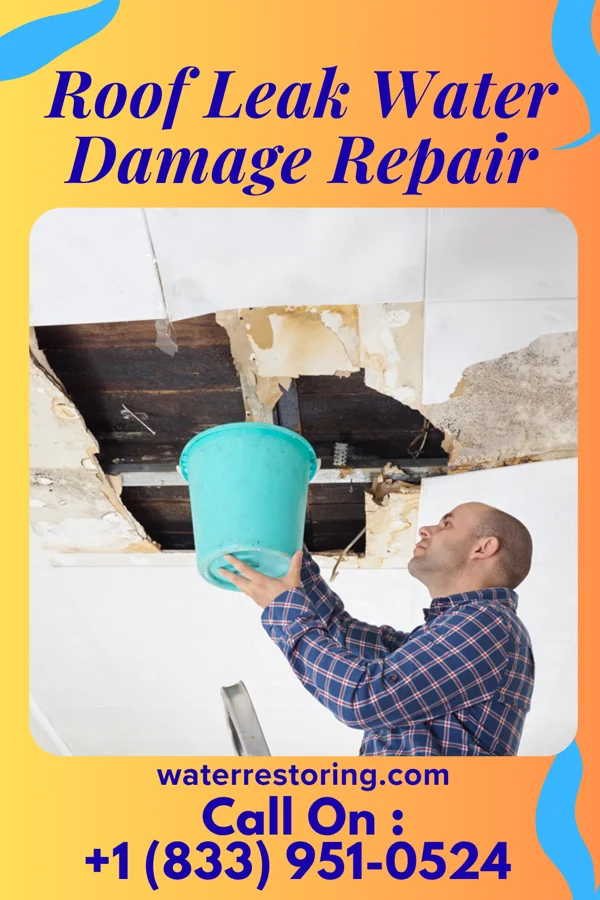 Roof Leak Water Damage Repair in Mattoon, WI