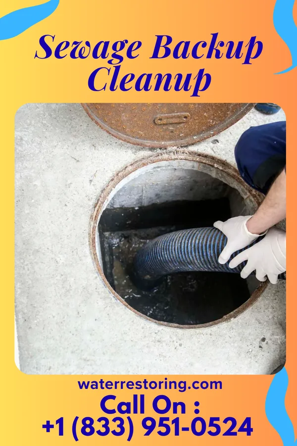 Sewage Backup Cleanup in Mattoon, WI
