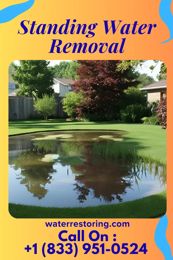 Standing Water Removal in Mattoon, WI